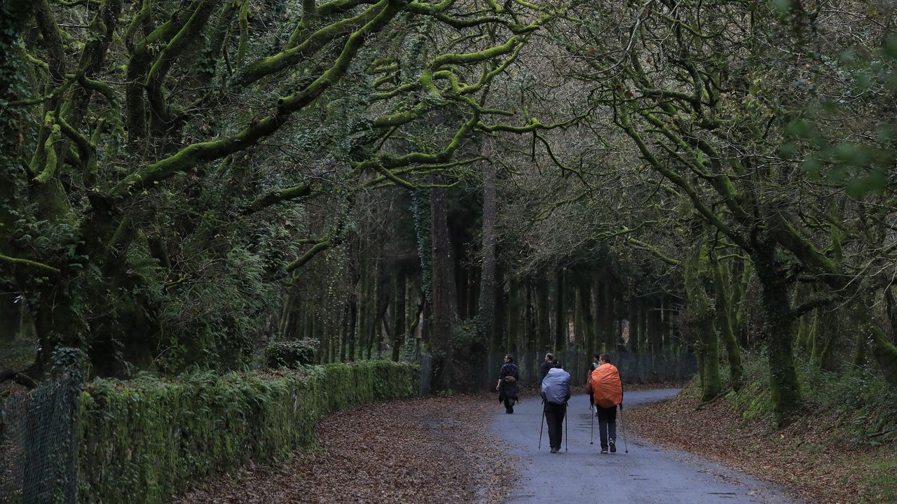 El número de peregrinos del Camino de Santiago sube en el mes de