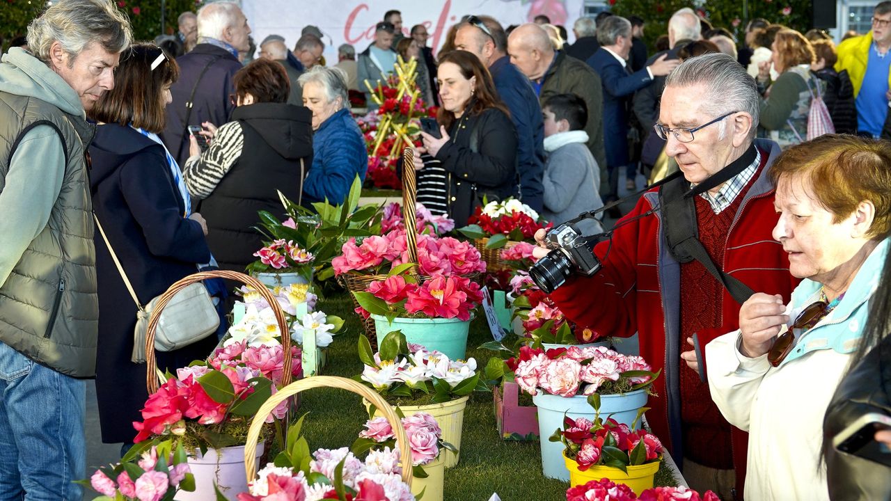 Qué hacer este fin de semana en Galicia: conciertos, camelias y actividades para todas las edades